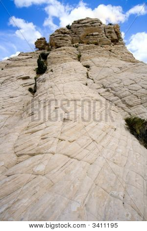 Close Up sulle rocce con un piccolo albero - Snow Canyon Utah