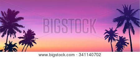 Dark Palm Trees Silhouettes On Sunset Or Sunrise Background, Vector Panoramic Bannet Illustration