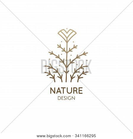 Tropical Plant Logo. Outline Emblem Of Exotic Flower, Flavoring In Linear Style. Pattern Minimal Ico