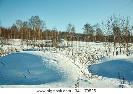 Scenic Winter Landscape Background. Trees And Hills With Snow.