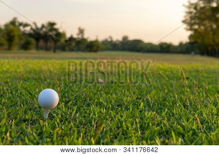 Close Up Golf Ball Woman Putting Golf Ball In Hole Tee With Club In Golf Course On Evening On Time F