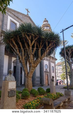 Cathedral Of San Cristobal De La Laguna Neogotico In Its Main And Neoclassical Corps In The Remedios