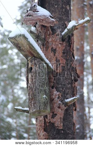 Nestling Box Fastened To Tree Surface. Empty Nest Box Waiting For Its Inhabitants. House For Birds. 