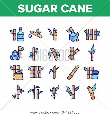 Sugar Cane Agriculture Collection Icons Set Vector Thin Line. Rum Bottle, Water Glass, Bio Organic S