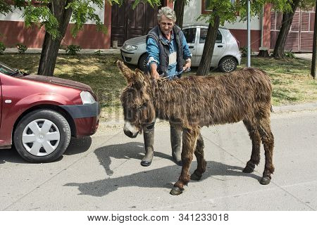 Man And Donkey