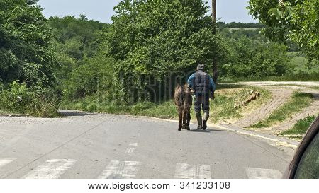 Man And Donkey