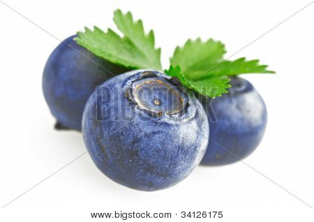bluebarry