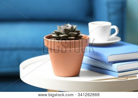 Beautiful Succulent And Books On White Table Indoors. Home Plant