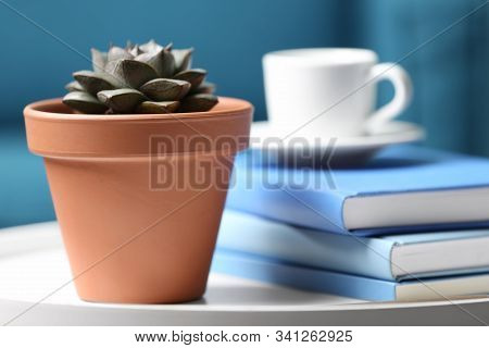 Beautiful Succulent And Books On White Table Indoors, Closeup. Home Plant