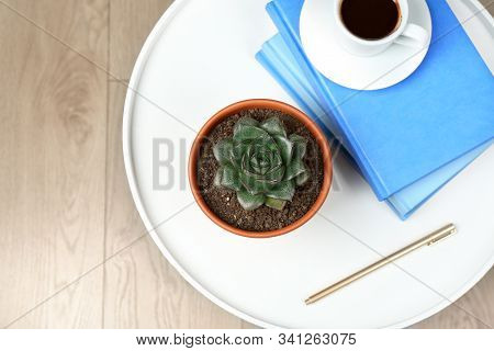 Beautiful Echeveria Plant, Books And Cup Of Coffee On White Table At Home, Top View