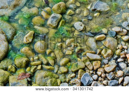 Wide Shot Of The Muddy Surface Of The Mollarino Stream In Late Summer Amid The Italian Apennines Mou