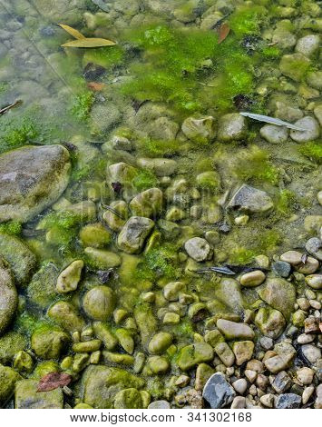 Wide Scenery Of The Swampy Riverbed Almost Dried Up In Late Summer,high Dynamic Range Image