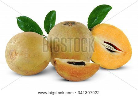 Group Of Sapodilla Fruit Isolated On White Background