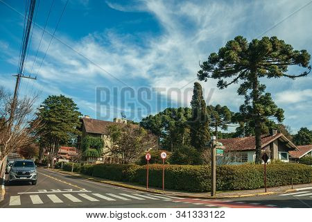 Gramado, Brazil - July 21, 2019. Gardened Houses And Trees On Empty Paved Street With Parked Cars In