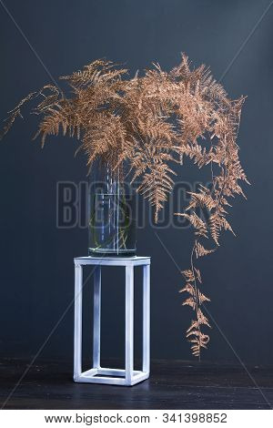 Branch Asparagus Fern Or Asparagus Setaceus Painted In Gold In A Glass Vase On A Metal Geometric Sta