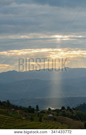 Sunlight Ray Shining On Beautiful Rice Terraces During Sunset In Pa Bong Piang Village In Chiangmai,