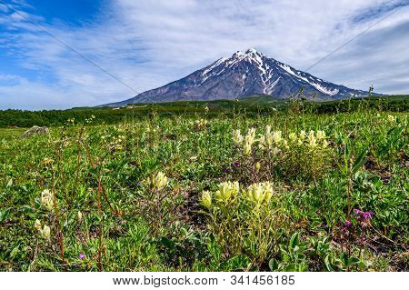 Panoramic View Of The City Petropavlovsk-kamchatsky And Volcanoes: Koryaksky Volcano, Avacha Volcano