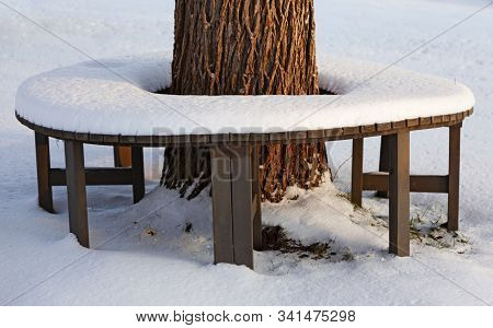 Over Snowy Wooden Seats Around An Old Tree