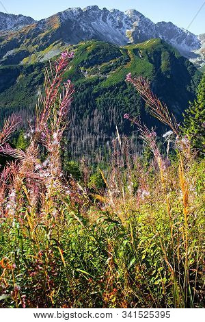 Rohacska Valley, Slovakia: The Peaks Tri Kopy And Hruba Kopa. Beautiful Slovakia.