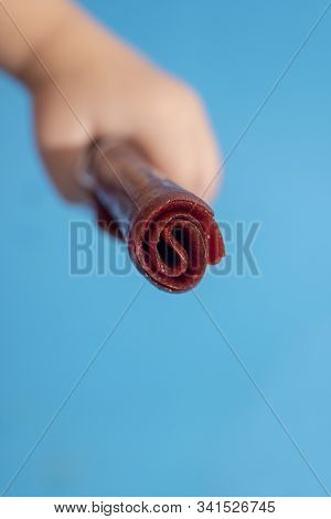 Young White Girl Holding Tklapi And Book Dried Mashed Fruit Pulp. Colorful Fruit Leather From Aprico
