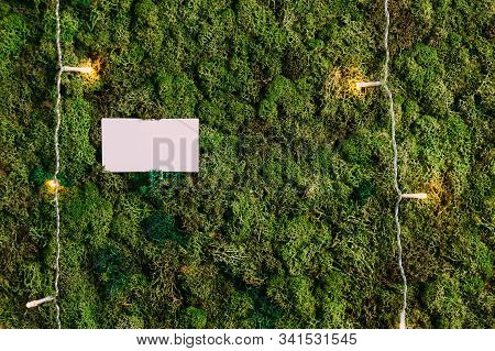 Mock Up Business Cards On A Background Of Green Moss. Concept On The Theme Of Nature