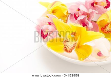 Tři druhy orchidejí na desce