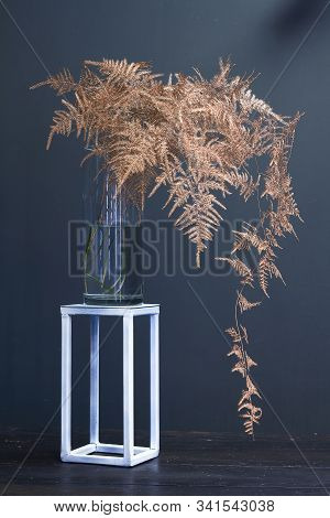 Branch Asparagus Fern Or Asparagus Setaceus Painted In Gold In A Glass Vase On A Metal Geometric Sta