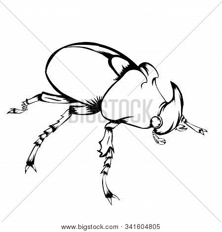 Sketch Design Of Illustration Bumblebee On White Background