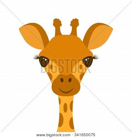 Cute Giraffe Head