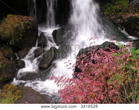 Rustling_Water