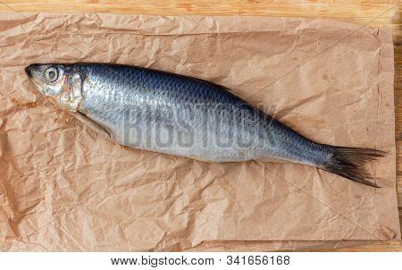 One Whole Salted Herring On Parchment Paper Close-up. Counter With Fish In The Market