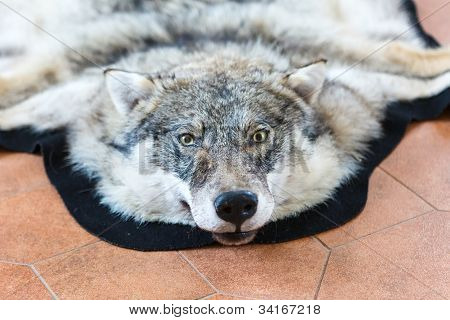 Wolf Skin On The Floor