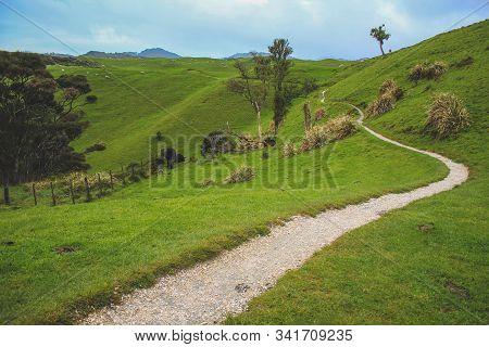 Scenic Walkway To Wharariki Beach At The Very Northern Point Of The South Island, New Zealand