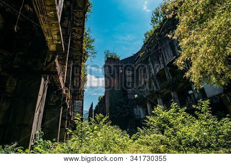 Overgrown Ruins Of Industrial Building. Abandoned, Destroyed By War Power Plant In Tkvarcheli Tquarh