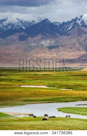 Idyllic Landscape In The Pamirs Plateau With Fresh Green Meadows And Winding Rivers And Snow-capped 