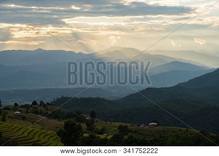 Sunlight Ray Shining On Beautiful Rice Terraces During Sunset In Pa Bong Piang Village In Chiangmai,
