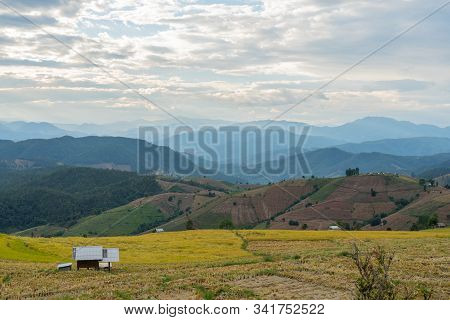 Beautiful Rice Terraces In Pa Bong Piang, The Rural Village In Chiangmai, Thailand