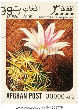 Moscow, Russia - December 26, 2019: Stamp Printed In Afghanistan Shows Flowering Cactus Mammillaria 