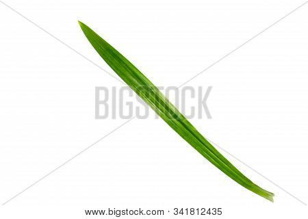 One Pandan On A White Background With Clipping Path