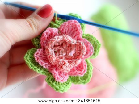 Crochet. Flower. Yarn. Colored Cotton. Needlework. Handmade.