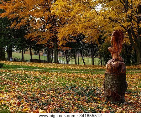 Fall In Caledon - Farm Land Decorated By The Colors - On, Canada