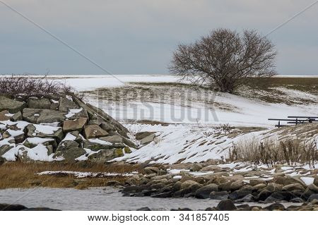 Late Autumn Snow And Leafless Tree On East Side Shoreline At Fort Taber Park In New Bedford