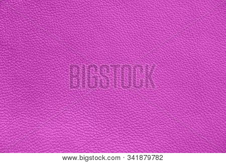 Genuine Leather. Violet Skin Close-up. Lilac Background.