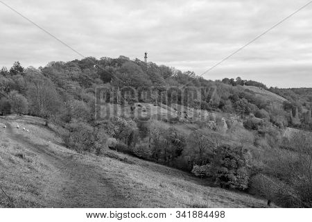 Landscape Photo Of The Admiral Hood Monument Near Butleigh In Somerset.