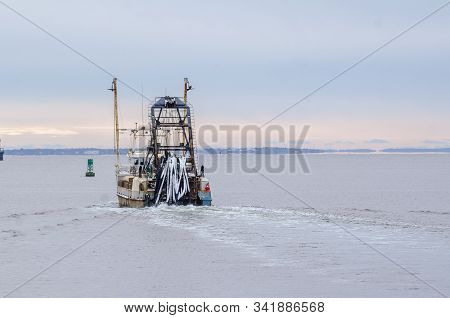 New Bedford, Massachusetts, Usa - December 4, 2019: With Snow From Recent Storm Clinging To Hoses, C