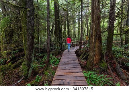 Woman Wearing A Red Coat Walking On A Wooden Path In A Wild Forest. Taken In Rainforest Trail, Near 