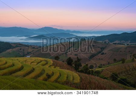 Beautiful Rice Terraces In The Morning With Fog Environment In Pa Bong Piang, The Rural Village In C