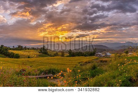 Beautiful Rice Terraces During Sunset In Pa Bong Piang, The Rural Village In Chiangmai, Thailand
