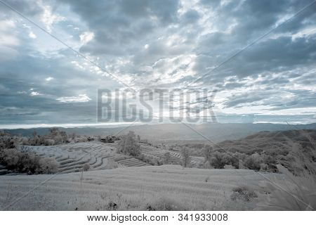 Beautiful Rice Terraces In Pa Bong Piang, The Rural Village In Chiangmai, Thailand In Infrared Photo
