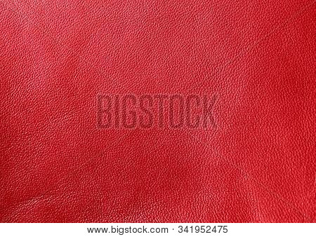 Genuine Leather. Red Background. Bloody Color. The Texture Of The Skin Close-up.